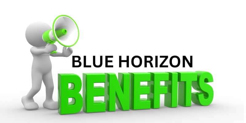 Blue Horizon Benefits